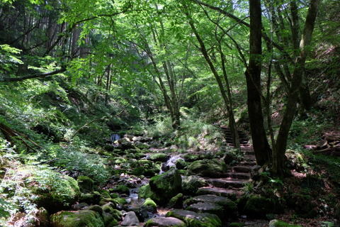 b0281732_713318.jpg