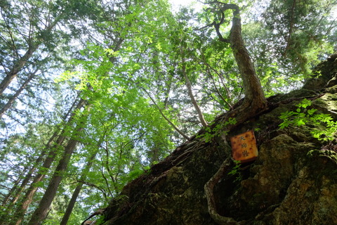 b0281732_7133979.jpg