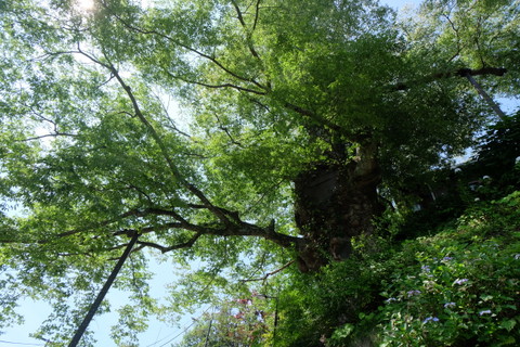 b0281732_7161416.jpg