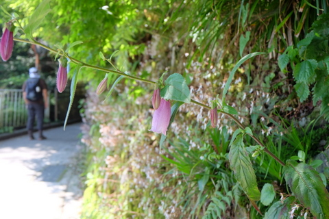 b0281732_7163160.jpg