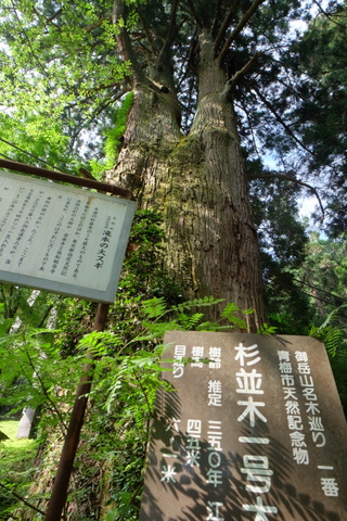 b0281732_7165882.jpg