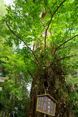 b0281732_717731.jpg