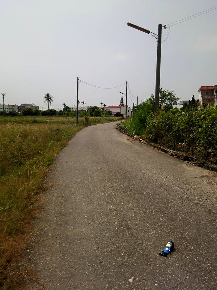 e0066135_9322770.jpg