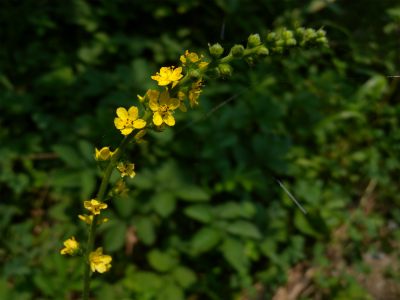e0272335_17492691.jpg