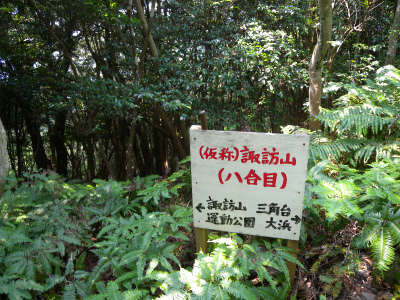e0272335_1755013.jpg