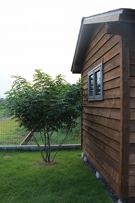 d0249240_23485112.jpg