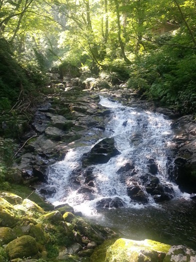 f0345940_20344946.jpg
