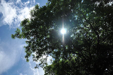 f0094843_15075590.jpg