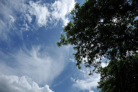 f0094843_15081425.jpg