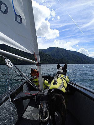 f0094843_16124650.jpg