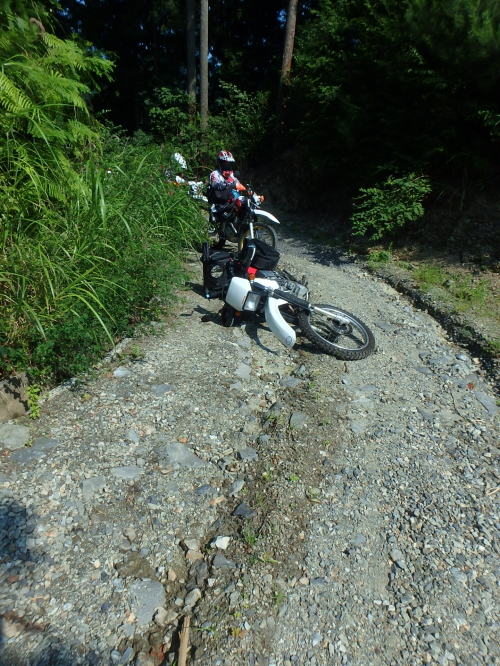 c0339546_2233202.jpg