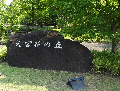 e0172950_21295413.jpg