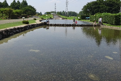 e0172950_21303845.jpg