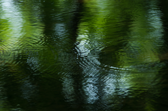 a0283057_0313325.jpg