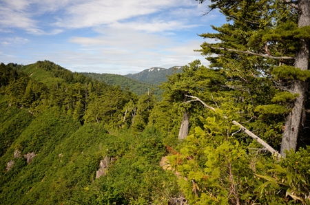 c0136760_1810379.jpg