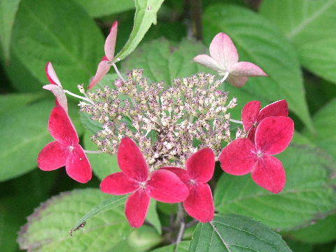 e0088260_22091798.jpg