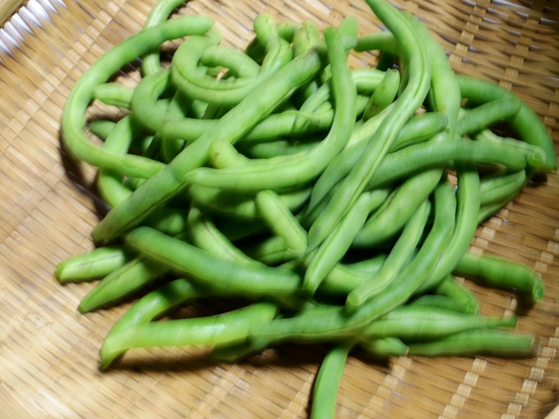 f0214467_9185783.jpg