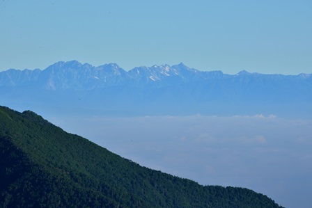 c0303868_1415458.jpg