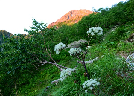 c0303868_143435.jpg