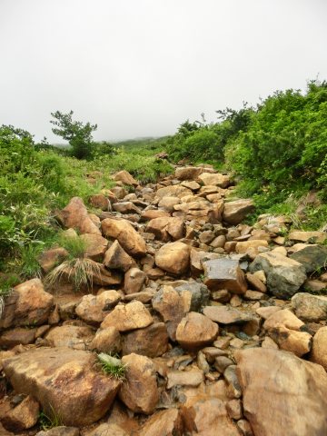 e0045768_21312679.jpg