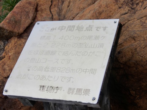 e0045768_21333024.jpg