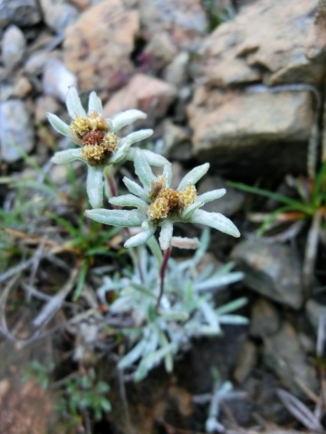 e0045768_21402122.jpg