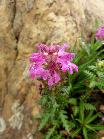 e0045768_21441998.jpg