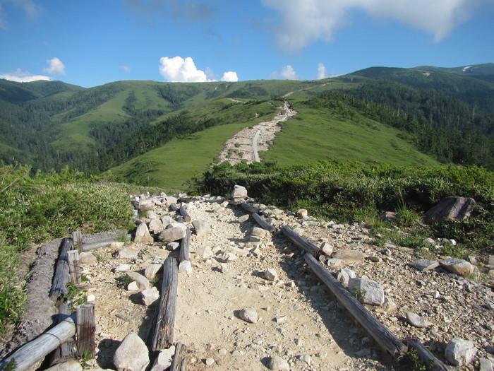 f0223068_1235248.jpg