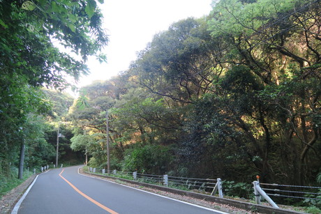 e0292172_1957897.jpg