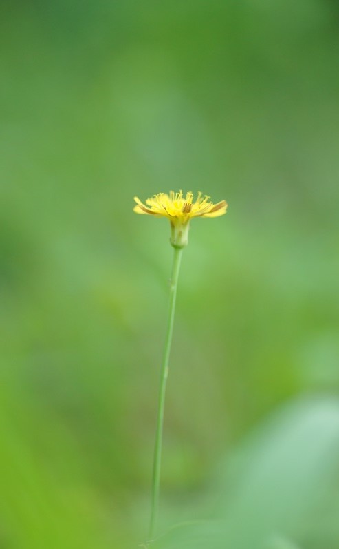 e0344574_17251340.jpg