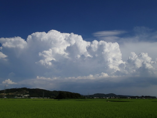 a0279883_08563229.jpg