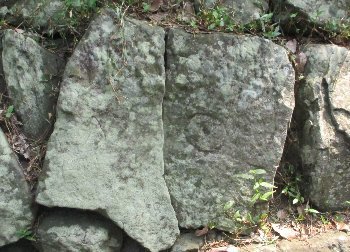f0003283_17490645.jpg