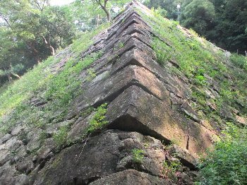 f0003283_17492465.jpg