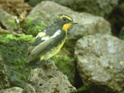 e0197884_19552255.jpg