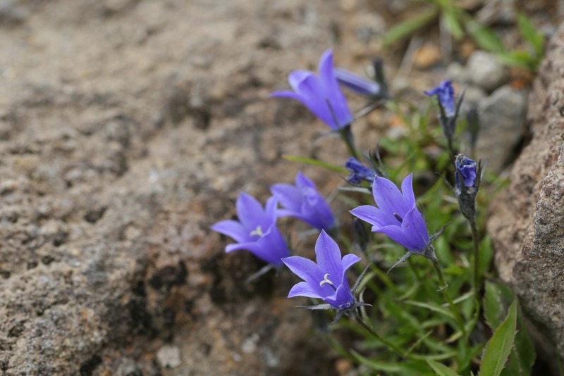 f0000789_8232279.jpg