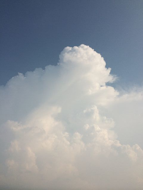 e0271890_20182202.jpg