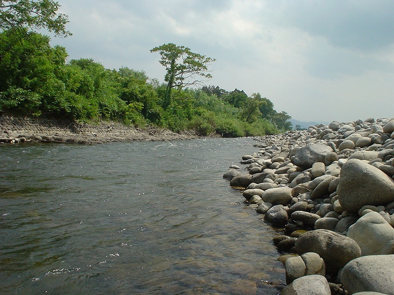 b0207491_18433064.jpg