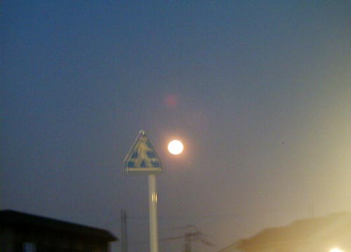 d0053294_16321765.jpg
