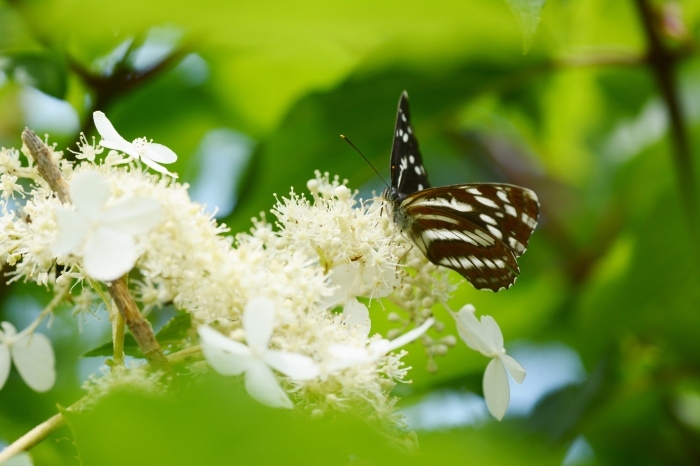 a0277496_01104966.jpg