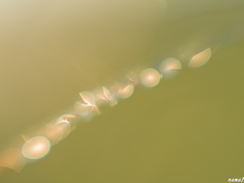 f0224100_22425691.jpg