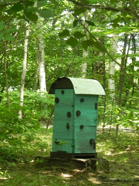 c0152002_10165349.jpg