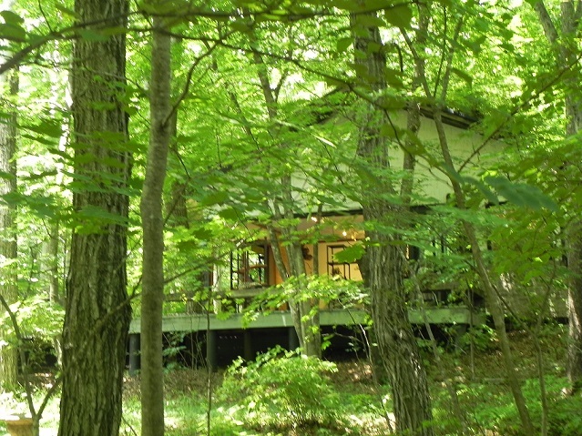 c0152002_10175330.jpg