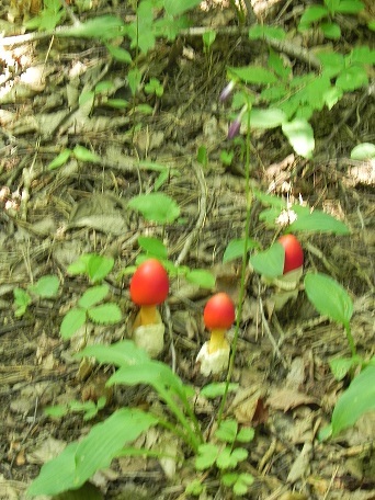 c0152002_10183516.jpg