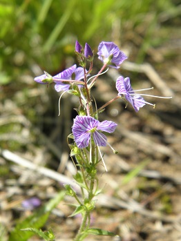d0032405_21244046.jpg