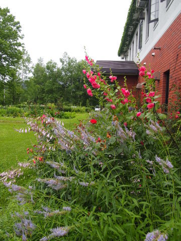 a0185007_09230731.jpg