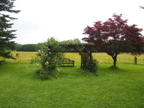 a0185007_09233018.jpg