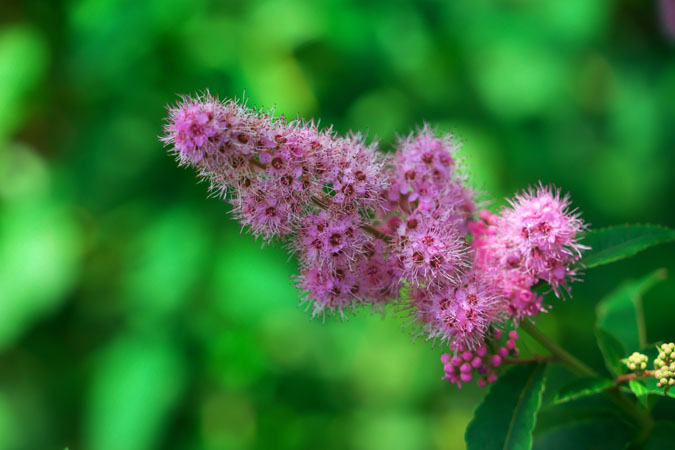 a0263109_11125877.jpg