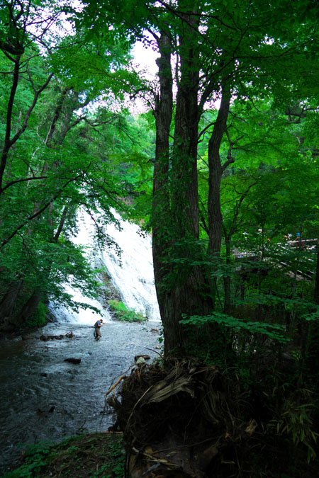 a0263109_11171886.jpg