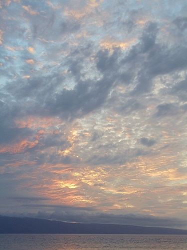 a0279116_19572633.jpg