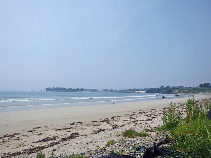 e0349817_21554518.jpg